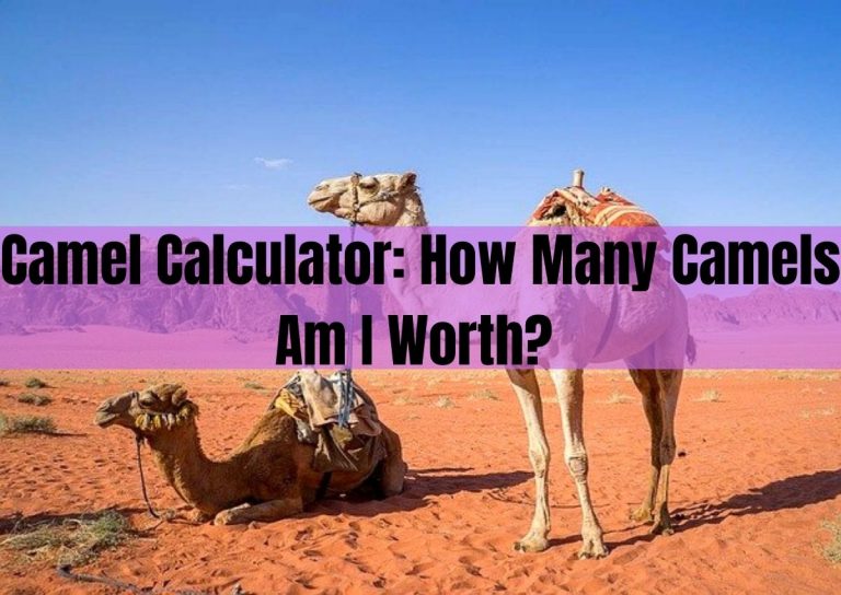 camel calculator