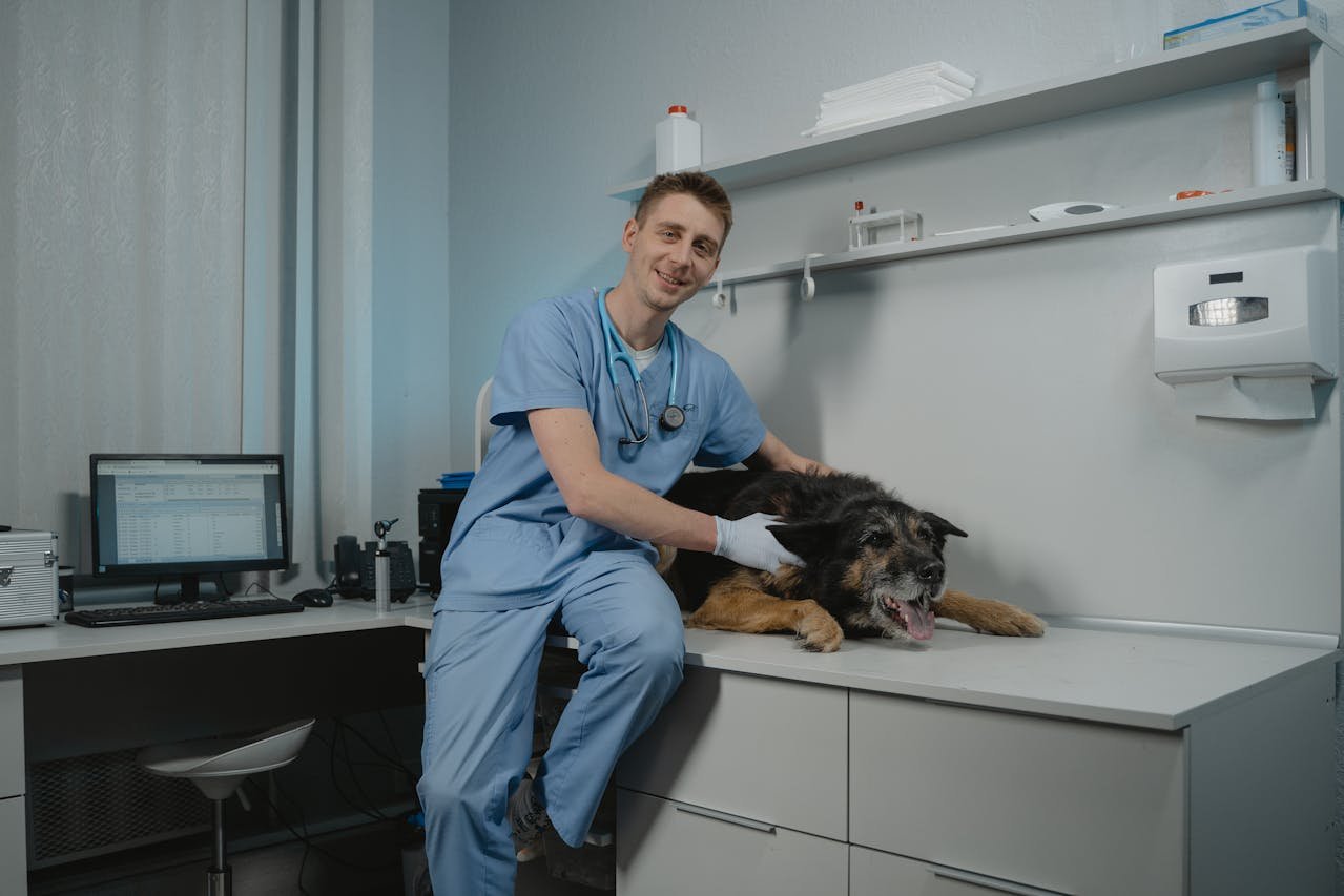 Veterinary Hospitals